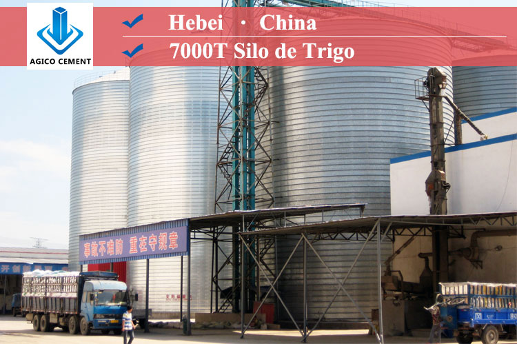 Proyecto de silo de trigo de 7000 toneladas en Hebei, China